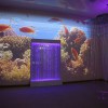 Проекционный дизайн "Виртуальная реальность" базовый комплект 500 анимаций - «globural.ru» - Чапаевск