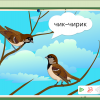 Интерактивное развивающее пособие "Говорящие картинки. Слушаем и повторяем" - «globural.ru» - Чапаевск
