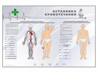 Электрифицированный стенд "Остановка кровотечения" - «globural.ru» - Чапаевск