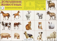 Демонстрационные карточки "Домашние животные" - «globural.ru» - Чапаевск