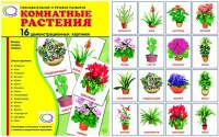 Демонстрационные карточки "Комнатные растения" - «globural.ru» - Чапаевск
