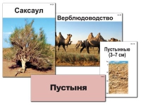Модель-аппликация "Природные зоны России" - «globural.ru» - Чапаевск