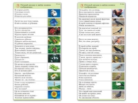 Комплект карточек (10) "Обучающий калейдоскоп. Природа" - «globural.ru» - Чапаевск