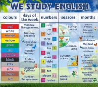 Стенд "We study english" - «globural.ru» - Чапаевск
