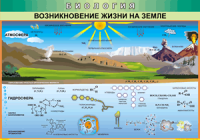 Таблица Возникновение жизни на Земле 1000*1400 винил - «globural.ru» - Чапаевск