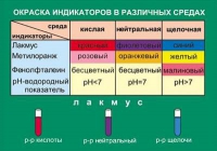 Таблица Окраска индикаторов в различных средах (винил) - «globural.ru» - Чапаевск