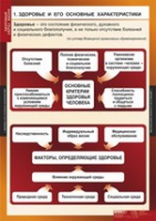 ОБЖ Здоровый образ жизни (комплект таблиц) - «globural.ru» - Чапаевск