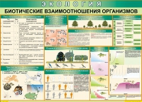 Таблица Биотические взаимоотношения организмов 1000*700 (винил) - «globural.ru» - Чапаевск