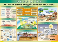 Таблица Антропогенное воздействие на биосферу 1000*700 винил - «globural.ru» - Чапаевск