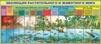 Стенд "Эволюция растительного и животного мира" - «globural.ru» - Чапаевск