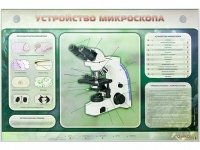 Электрифицированный стенд "Устройство микроскопа и правила работы c ним" - «globural.ru» - Чапаевск