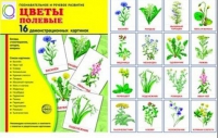 Демонстрационные карточки "Цветы полевые" - «globural.ru» - Чапаевск