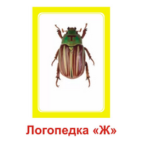 Логопедка "Ж" (логопедические карточки) - «globural.ru» - Чапаевск