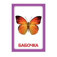 Логопедка "Ч" (логопедические карточки) - «globural.ru» - Чапаевск