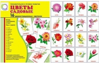 Демонстрационные карточки "Цветы садовые" - «globural.ru» - Чапаевск