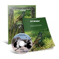 Электронное наглядное пособие «Птицы» - «globural.ru» - Чапаевск