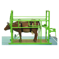 Наглядный макет «Методы и устройства для фиксации КРС» - «globural.ru» - Чапаевск