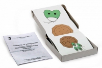 Модель-аппликация Размножение одноклеточной водоросли (набор из 11 карт) - «globural.ru» - Чапаевск