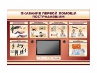 Многофункциональный интерактивный стенд-тренажер "Оказание первой помощи пострадавшим" для учащихся общеобразовательных учреждений - «globural.ru» - Чапаевск