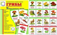 Демонстрационные карточки  "Грибы съедобные и не съедобные" - «globural.ru» - Чапаевск