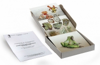 Модель-аппликация Взаимодействия в природных сообществах (набор из 23 карт) - «globural.ru» - Чапаевск