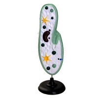 Модель инфузории-туфельки - «globural.ru» - Чапаевск