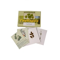 Гербарий "Деревья и кустарники" (22 вида, с иллюстрациями) - «globural.ru» - Чапаевск