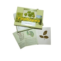 Гербарий "Дикорастущие растения" (30 видов, с иллюстрациями) - «globural.ru» - Чапаевск