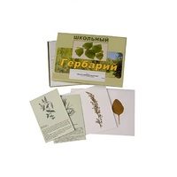 Гербарий "Лекарственные растения" (22 вида, с иллюстрациями) - «globural.ru» - Чапаевск