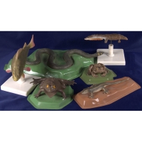 Комплект моделей "Позвоночные животные" (8 штук) - «globural.ru» - Чапаевск