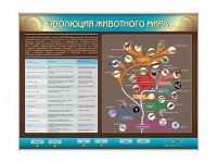 Интерактивный электрифицированный стенд "Эволюция животного мира" - «globural.ru» - Чапаевск