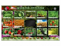 Комплект оборудования "Живой уголок" (растения) - «globural.ru» - Чапаевск