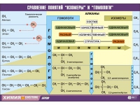 Таблица демонстрационная "Сравнение понятий изомер и гомолог" (винил 70x100) - «globural.ru» - Чапаевск