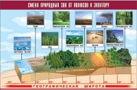 Таблица демонстрационная "Смена природных зон от полюсов к экватору" (винил 70x100) - «globural.ru» - Чапаевск