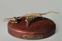 Модель скелета ихтиозавра Ichthyosaurus - «globural.ru» - Чапаевск