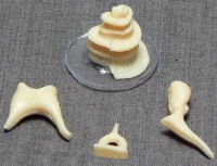 Модель "Косточки слуховые" - «globural.ru» - Чапаевск