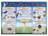 Стенд-уголок "Друзья наши меньшие" - «globural.ru» - Чапаевск
