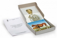 Модель-аппликация Цикл развития бычьего цепня (набор из 7 карт) - «globural.ru» - Чапаевск