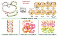 Плакаты и таблицы по общей химии - «globural.ru» - Чапаевск