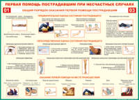  Таблица Общий порядок оказания первой помощи пострадавшим 1000*1400 винил	 - «globural.ru» - Чапаевск