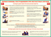 Таблица Порядок действий при внезапной смерти 1000*1400 винил - «globural.ru» - Чапаевск