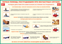 Таблица Порядок действий при коматозном состоянии пострадавшего 1000*1400 винил - «globural.ru» - Чапаевск
