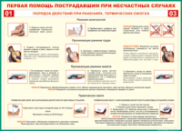 Таблица Порядок действий при ранениях и термических ожогах	 1000*1400 винил - «globural.ru» - Чапаевск