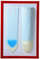 Барельефная модель "Клеточное строение корня" - «globural.ru» - Чапаевск