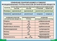 Химия. Сравнение понятий изомер и гомолог. Функциональные группы классов органических веществ (винил) - «globural.ru» - Чапаевск