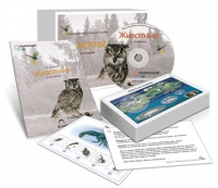 Комбинированное наглядное пособие «Животные» - «globural.ru» - Чапаевск