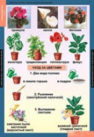 Окружающий мир 1 класс (комплект таблиц) - «globural.ru» - Чапаевск