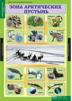 Окружающий мир 4 класс (комплект таблиц) - «globural.ru» - Чапаевск