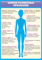 Стенд "Снятие мерок" (вариант 2) - «globural.ru» - Чапаевск