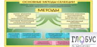 Стенд "Методы селекции и биотехнологии" - «globural.ru» - Чапаевск